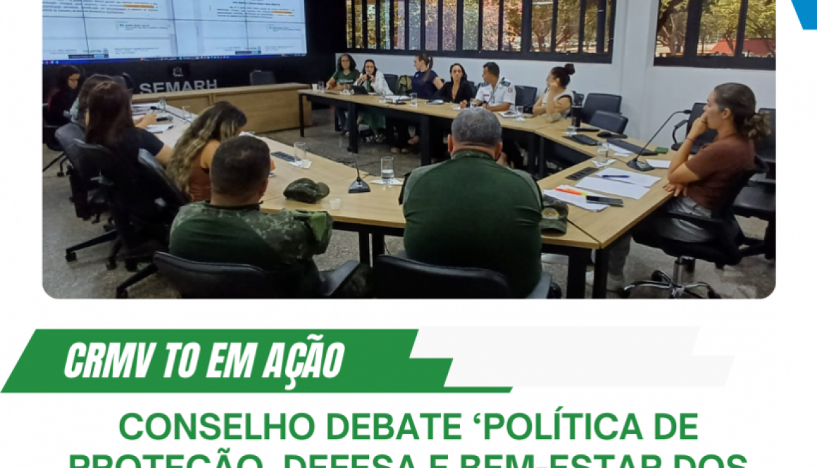 Cópia de curso de resenha é sucesso