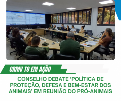 Cópia de curso de resenha é sucesso