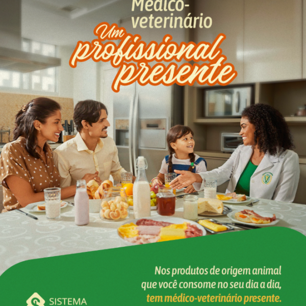 campanha mv