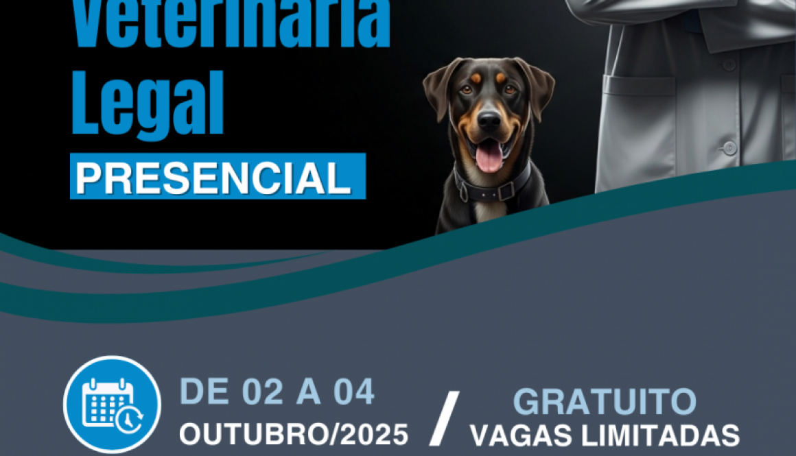 curso de MVL