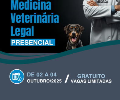 curso de MVL