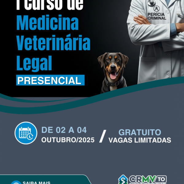 curso de MVL