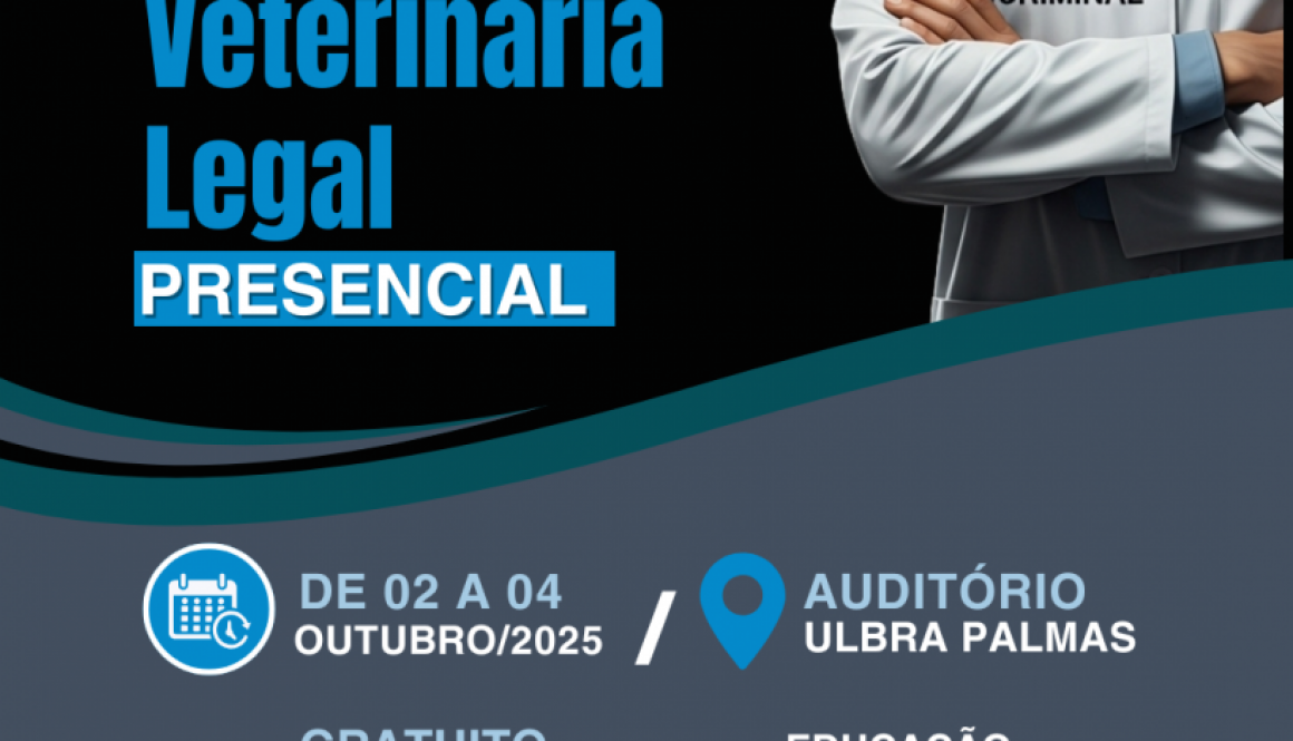 curso de MVL (4)