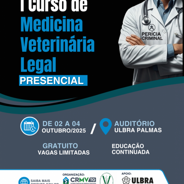 curso de MVL (4)