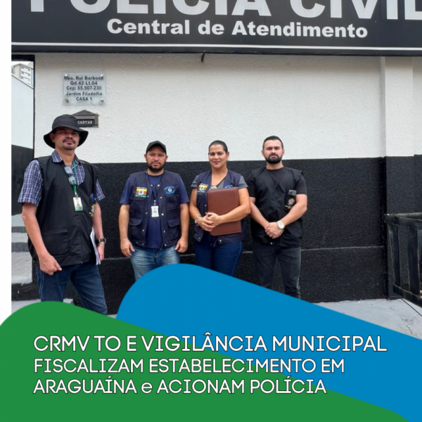 notícia