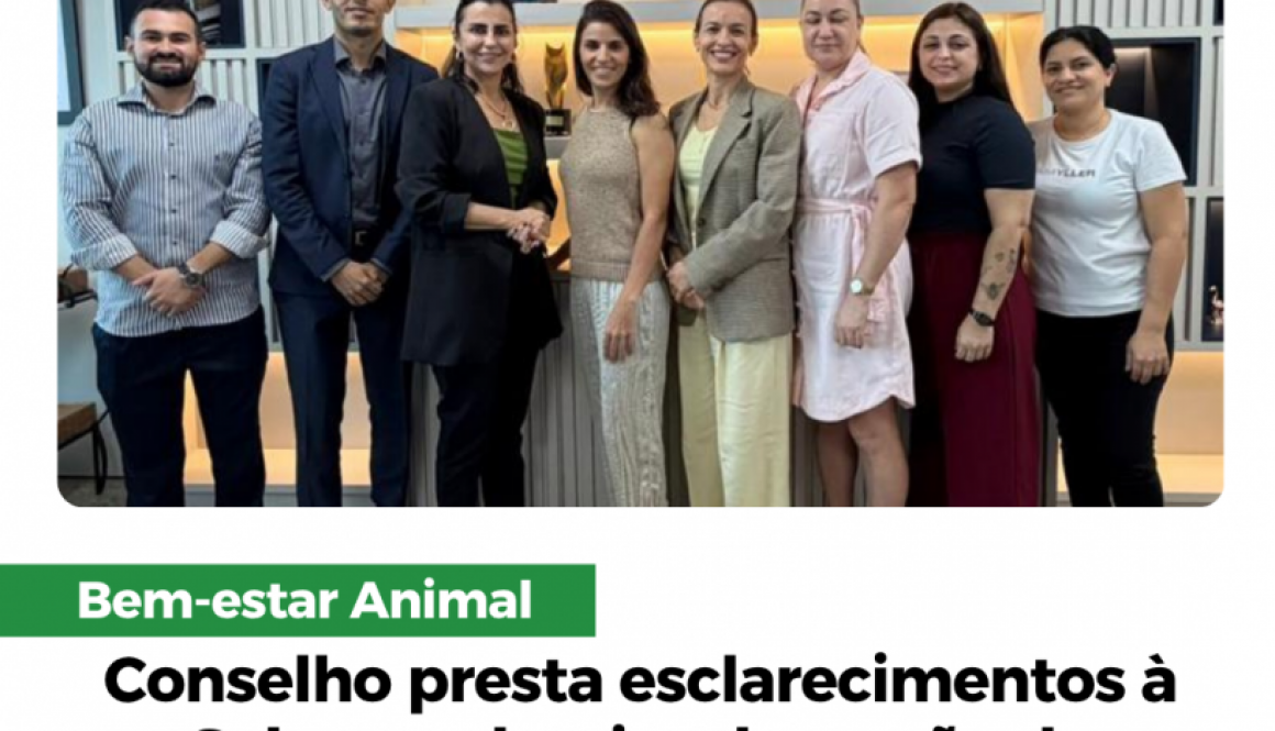 Paracatu (1)