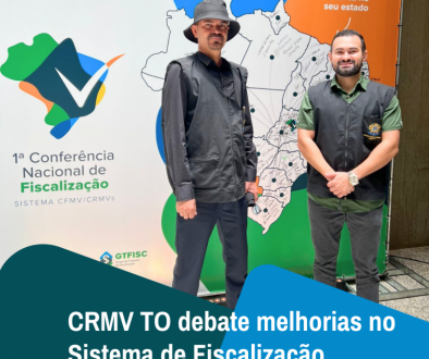 Cópia de story notícia