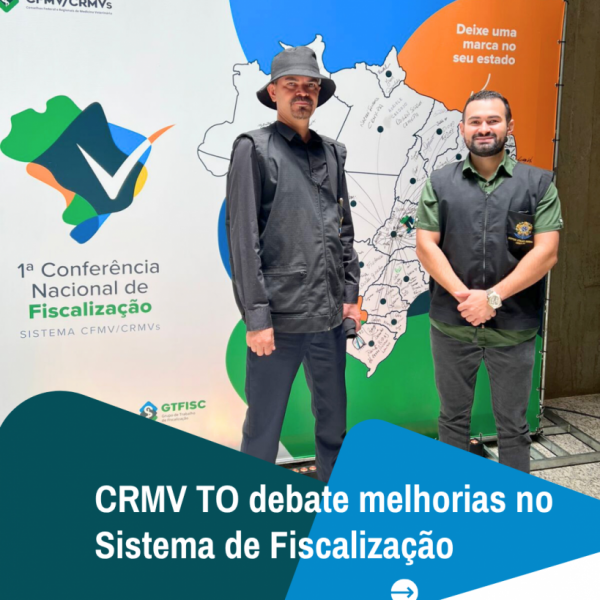 Cópia de story notícia