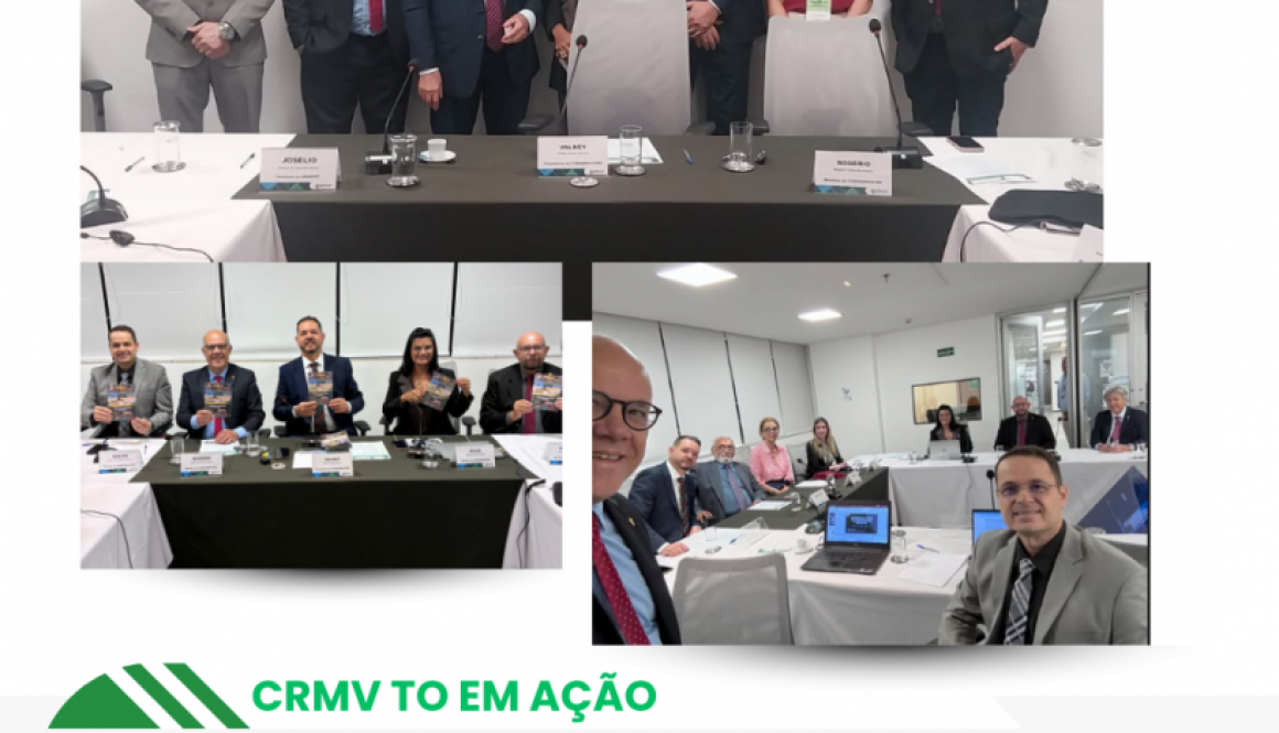 Fórum das Comissões de agronegócio CONAGRO