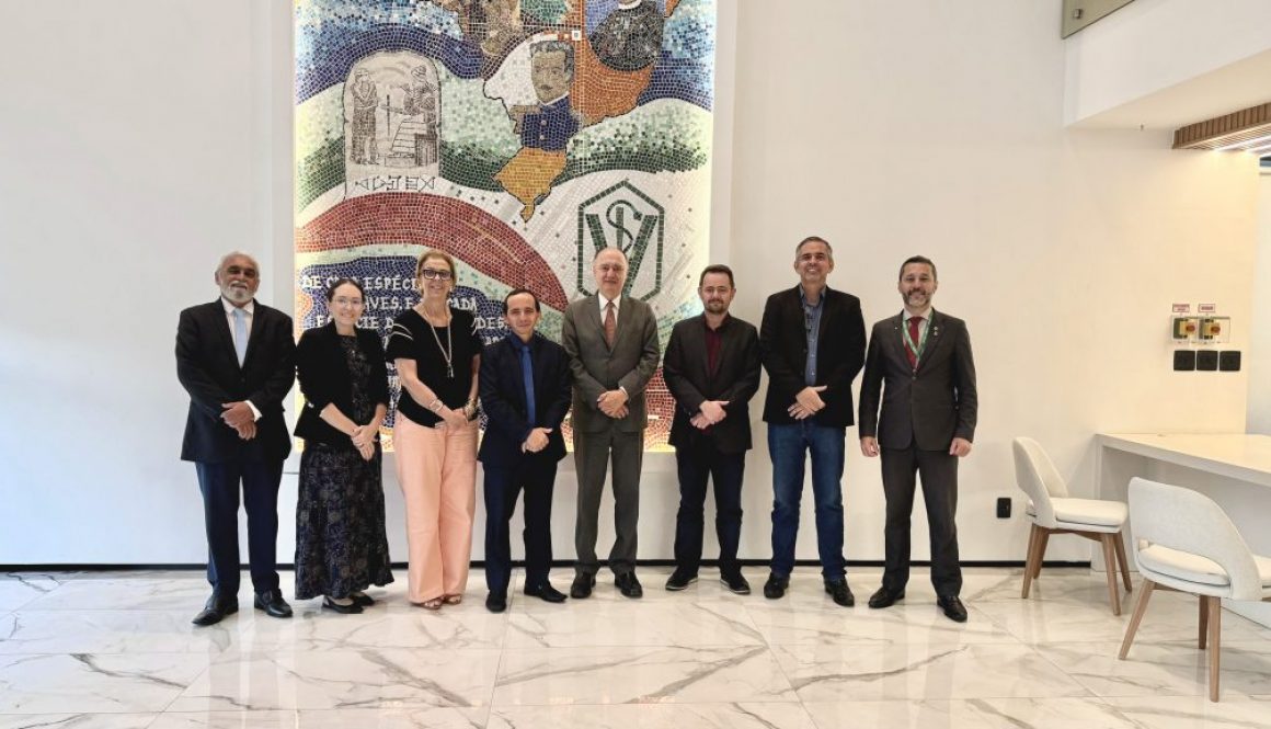 Visita institucional da nova Diretoria Executiva do CRMV-TO ao CFMV