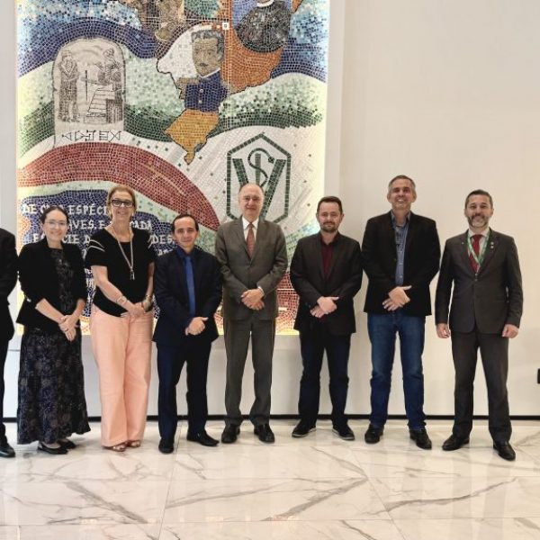 Visita institucional da nova Diretoria Executiva do CRMV-TO ao CFMV