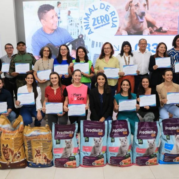CRMV-TO é empossado como membro do Conselho Municipal de Proteção, Defesa e Bem-Estar Animal