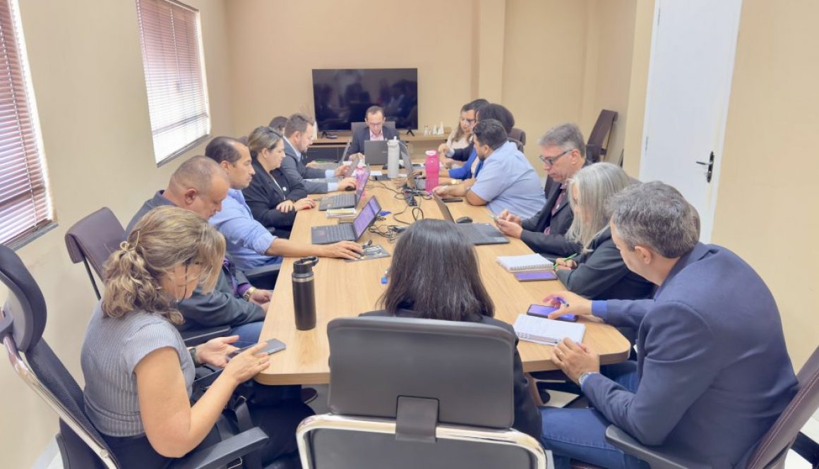 CRMV-TO realiza primeira plenária da nova gestão