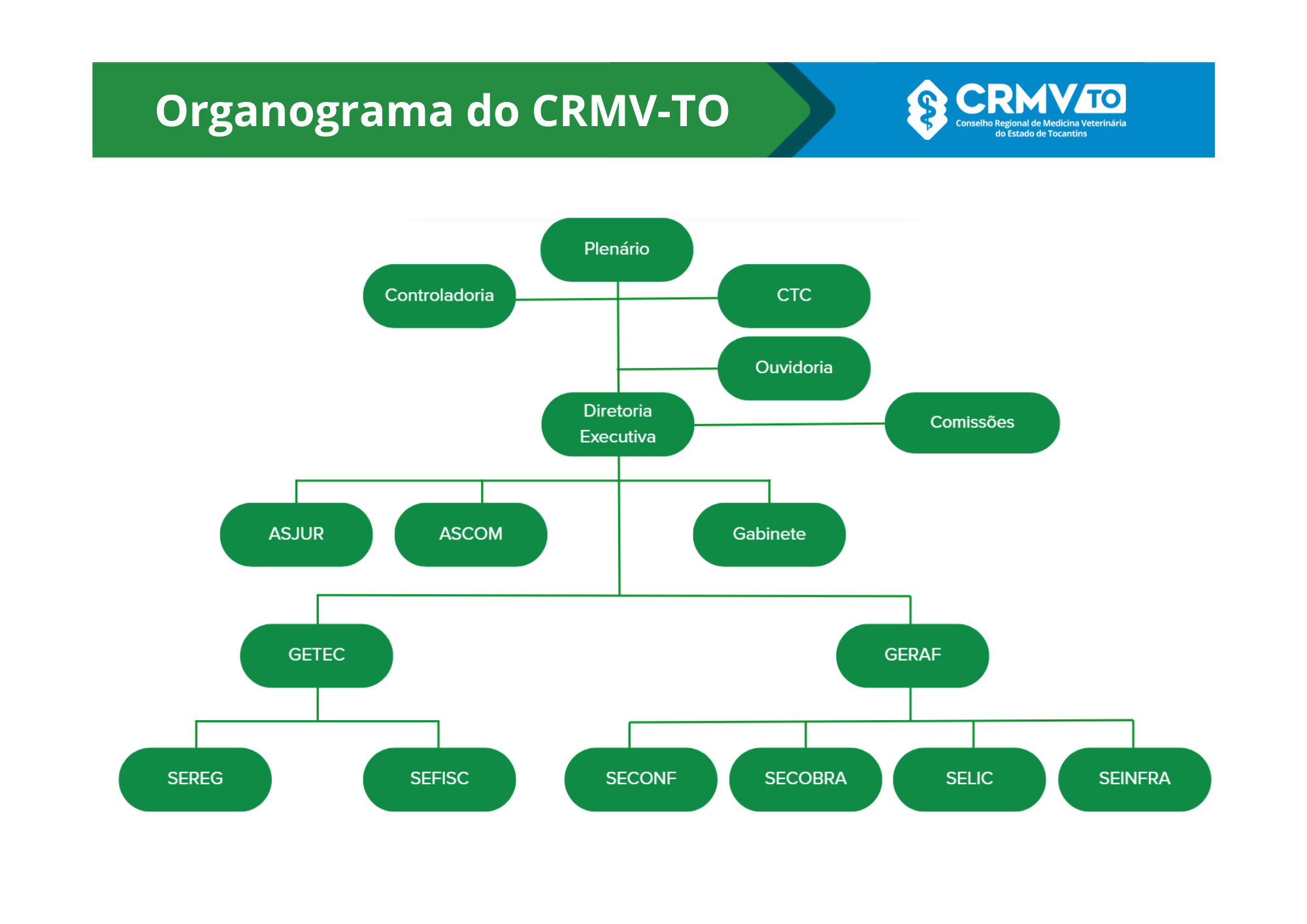 Organograma do CRMVTO