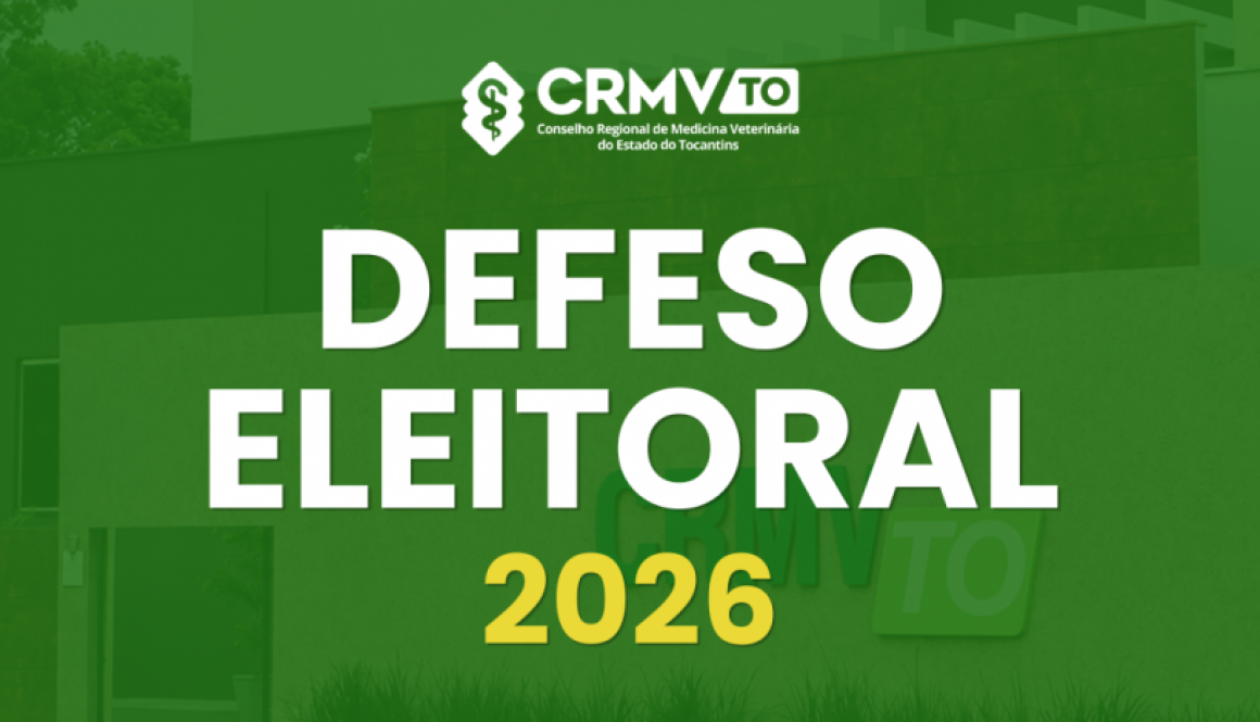 defeso eleitoral (1)