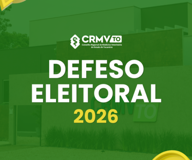 defeso eleitoral (1)